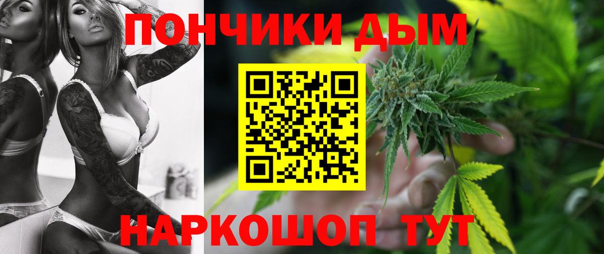 Марихуана сатива Лабытнанги